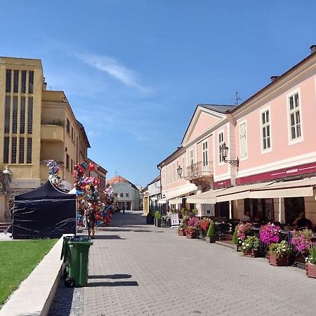 Apartman Rea Комарно Екстер'єр фото